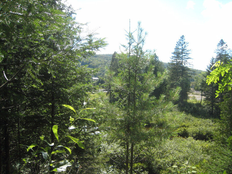 À qui la chance? Terrains à vendre / Land for sale Chertsey Lanaudière Québec